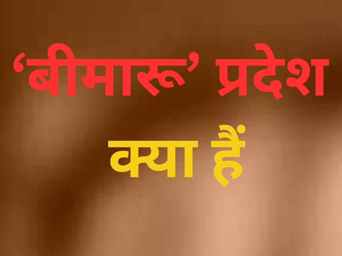 इन राज्‍यों को क्‍यों कहा गया ‘बीमारू’ प्रदेश? कैसे तेजी से बदल गए हालात...