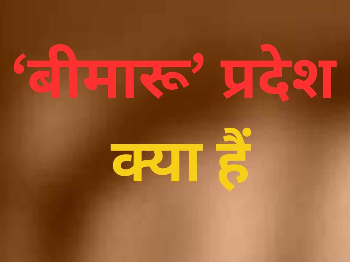 why these states called bimaru states how changed the situation | इन ...