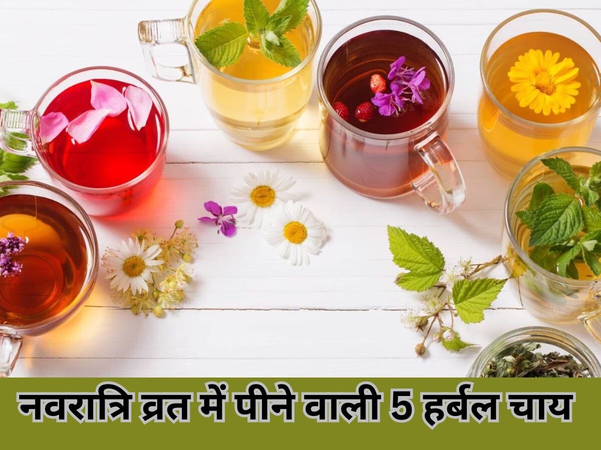 Tea In Navratri Fast: नवरात्रि व्रत में दिनभर रहना चाहते हैं एनर्जेटिक? सुबह पिएं ये 5 तरह की हर्बल चाय 