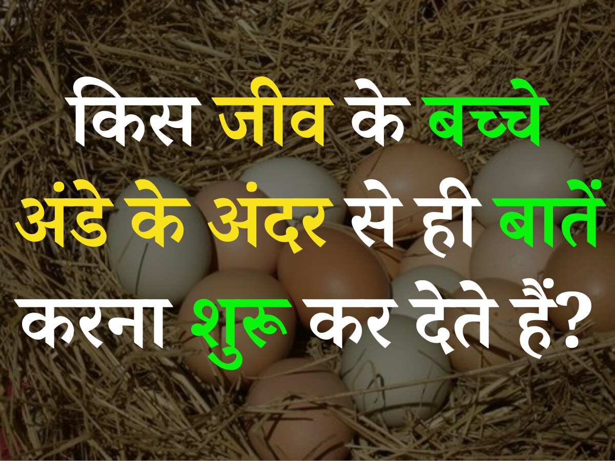 Quiz: वो कौन सा जीव है, जिसके बच्चे अंडे के अंदर से ही बातें करना शुरू कर देते हैं?