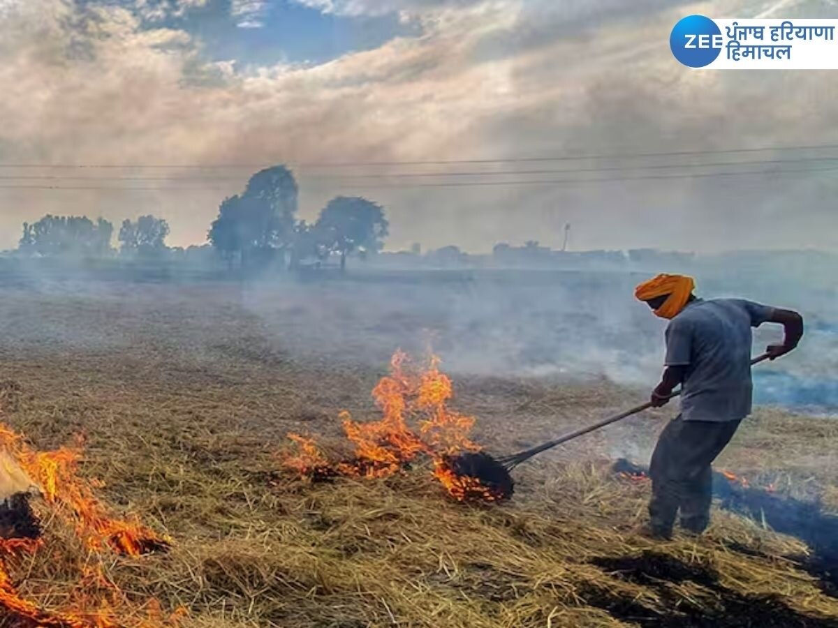 Stubble Burning News: ਦਿੱਲੀ 'ਚ ਵਧਿਆ ਪ੍ਰਦੂਸ਼ਣ, NGT ਵੱਲੋਂ ਪੰਜਾਬ ਸਰਕਾਰ ਤੇ CPCB ਨੂੰ ਨੋਟਿਸ ਜਾਰੀ 