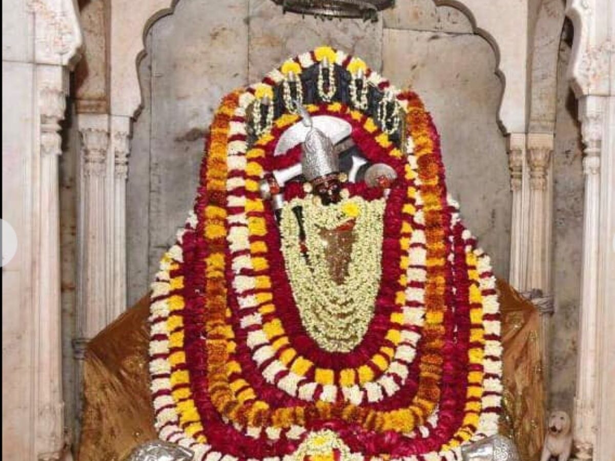 Jaipur news : शारदीय नवरात्र पर्व पर  मंदिरों में उमड़ी  श्रद्धालुओं की भीड़ 