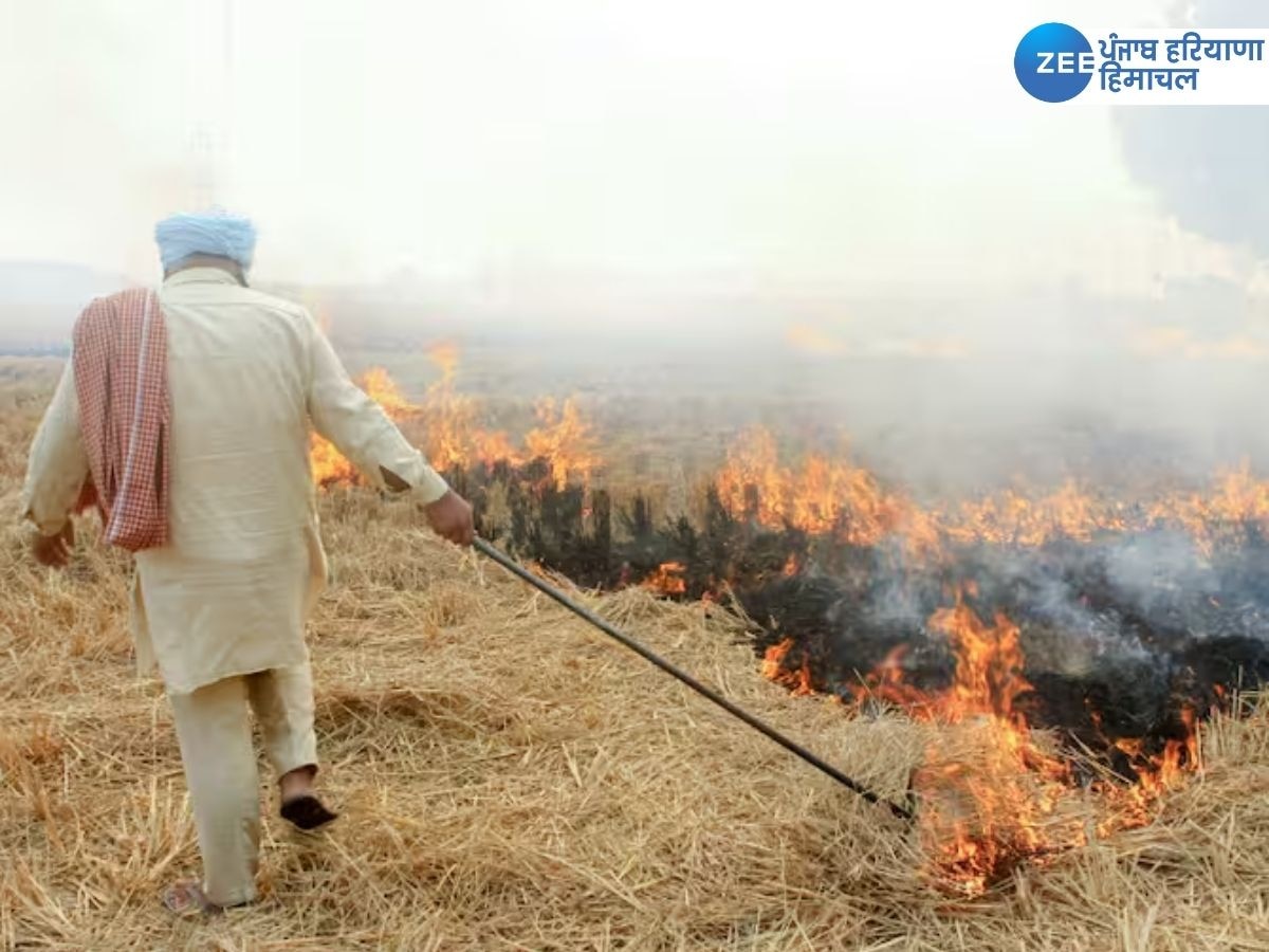 Stubble Burning Case: ਪੰਜਾਬ 'ਚ 30 ਥਾਵਾਂ 'ਤੇ ਪਰਾਲੀ ਸਾੜਨ ਦੇ 1794 ਮਾਮਲੇ ਆਏ ਸਾਹਮਣੇ, ਦੋ ਸਾਲਾਂ 'ਚ ਸਭ ਤੋਂ ਘੱਟ ਅੰਕੜਾ