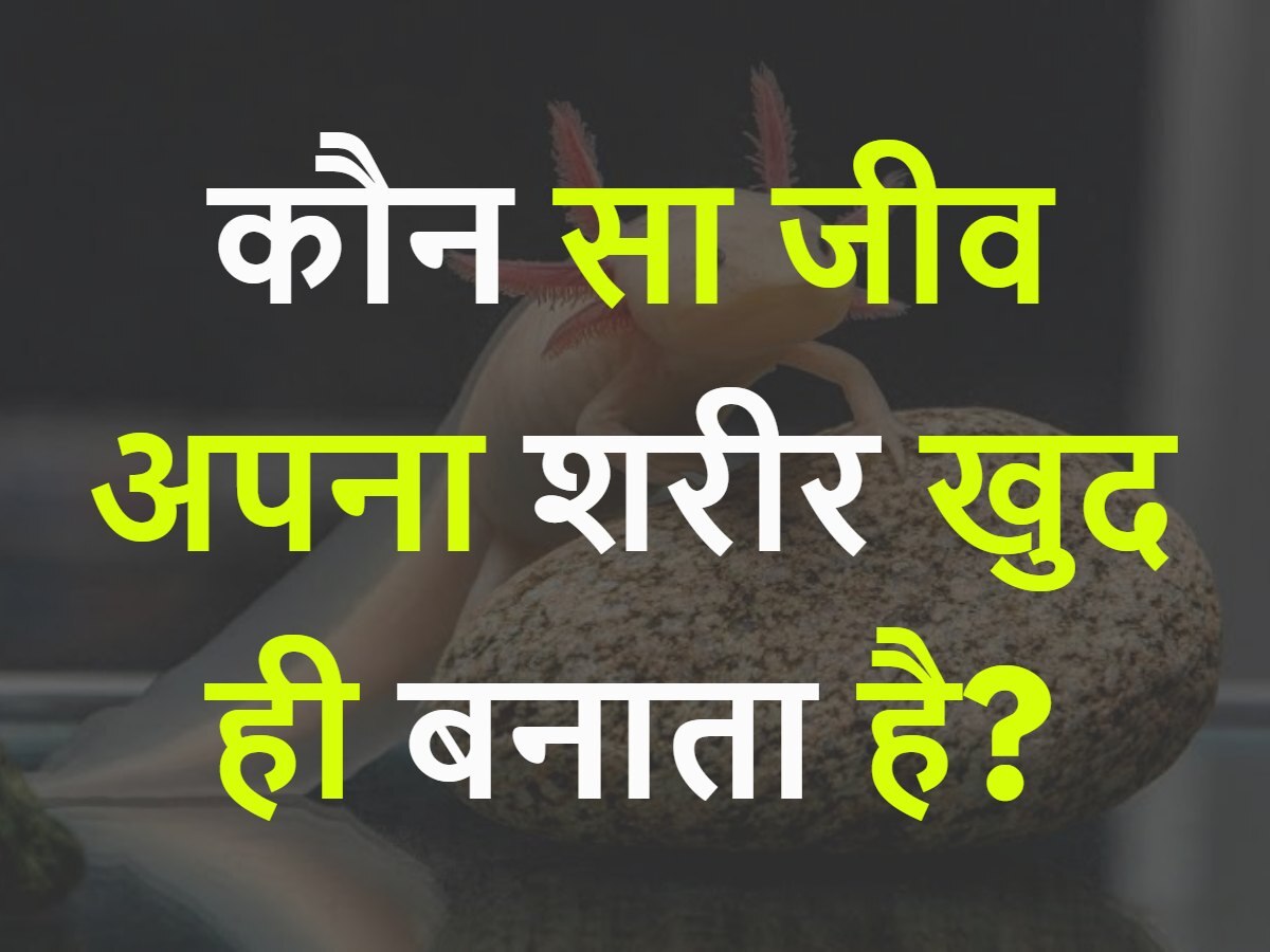 Quiz: आखिर कौन सा जीव अपना शरीर खुद ही बनाता है?