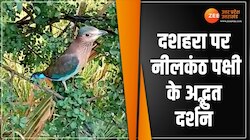 अगर दशहरा पर आपके साथ भी हुआ ये वाकया, खुल जाएगा आपकी किस्मत का ताला