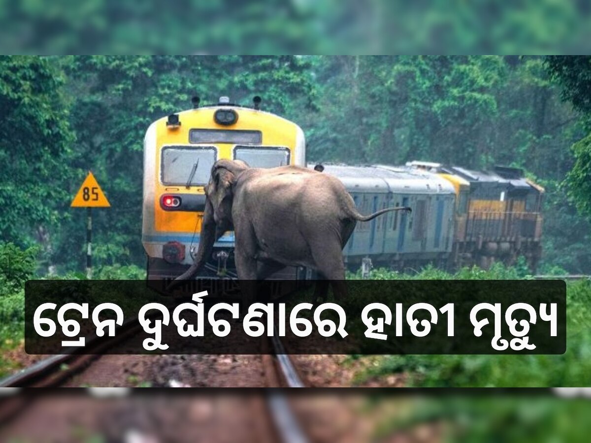 Train Accident: ସକାଳୁ ସକାଳୁ ଦୁଃଖଦ ଖବର ! ଟ୍ରେନ୍ ଧକ୍କାରେ ଚାଲିଗଲା ନିରିହ ହାତୀର ଜୀବନ..