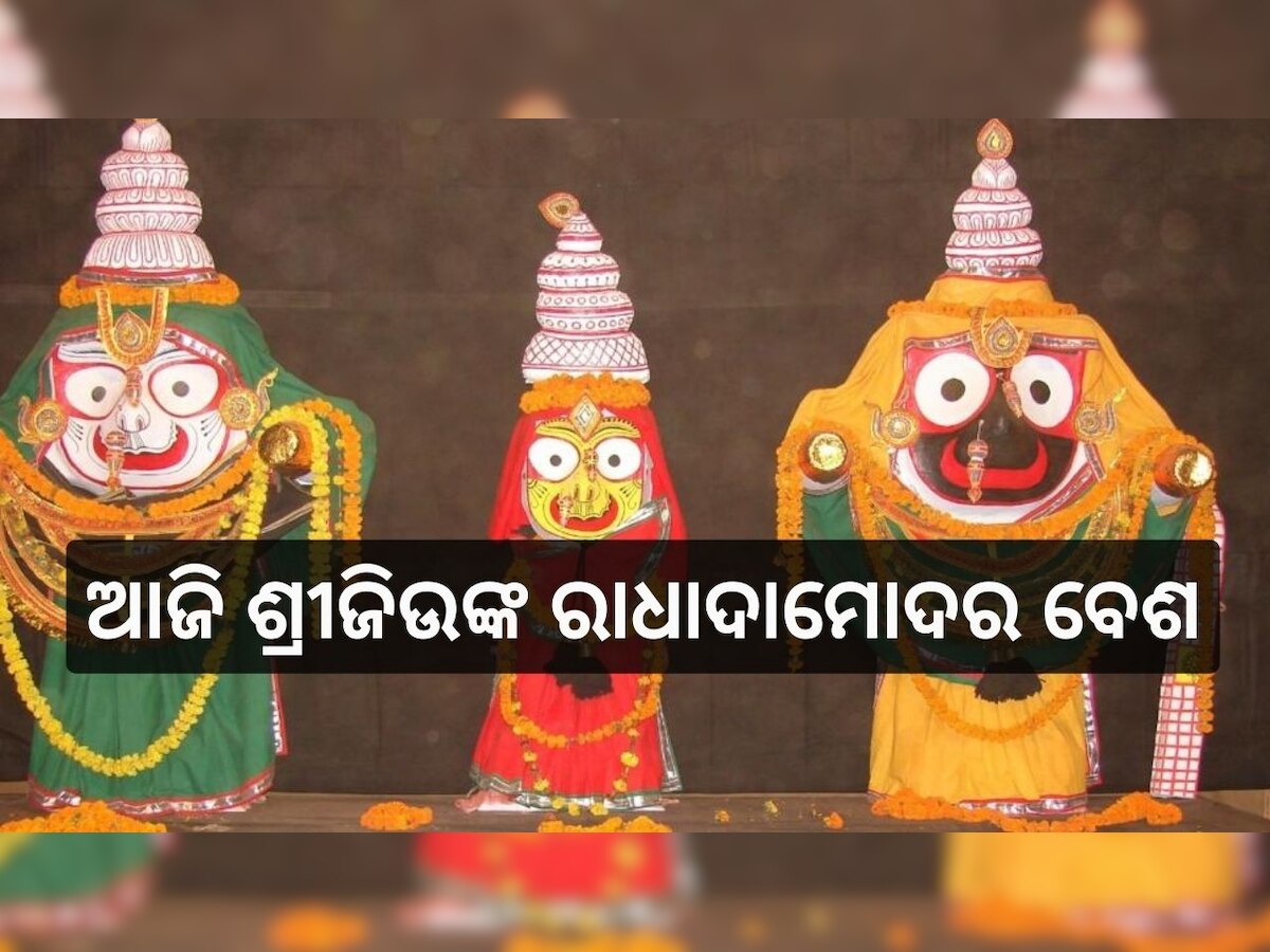 Kartika Niti at Srimandir: ଆଜି ରାଧାଦାମୋଦର ବେଶରେ ଭକ୍ତଙ୍କୁ ଦର୍ଶନ ଦେଉଛନ୍ତି ମହାପ୍ରଭୁ...