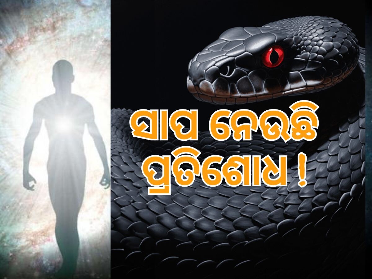 Jhansi Rebirth News: ପୁନର୍ଜନ୍ମର ଆଶ୍ଚର୍ଯ୍ୟଜନକ କାହାଣୀ, ସାପ ହୋଇ ପ୍ରତିଶୋଧ ନେଉଛି ସାନ ଭାଈ