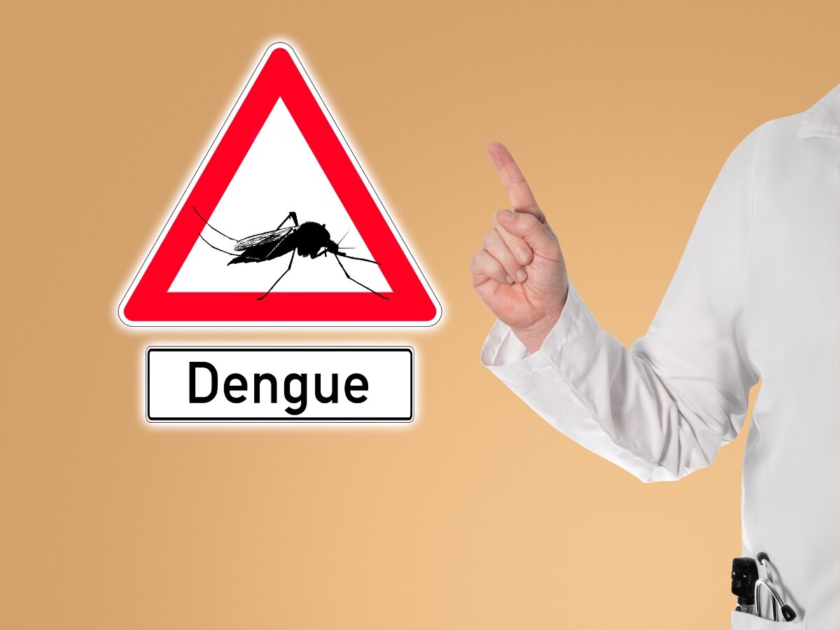 Dengue Natural Remedies: डेंगू मरीजों के लिए रामबाण से कम नहीं ये उपाय, बढ़ने लगेंगे प्लेटलेट्स काउंट
