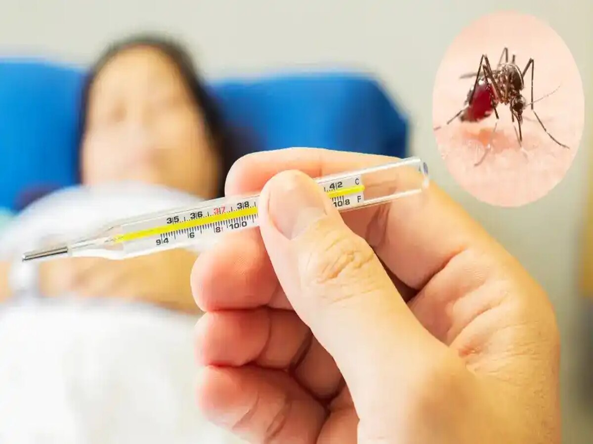 Dengue Fever Health Tips: अगर आपको हैं ये लक्षण तो शायद हो सकता है डेंगू बुखार, जानें लक्षण और करें ये काम  