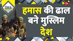 DNA: हमास की ढाल बने मुस्लिम देश 