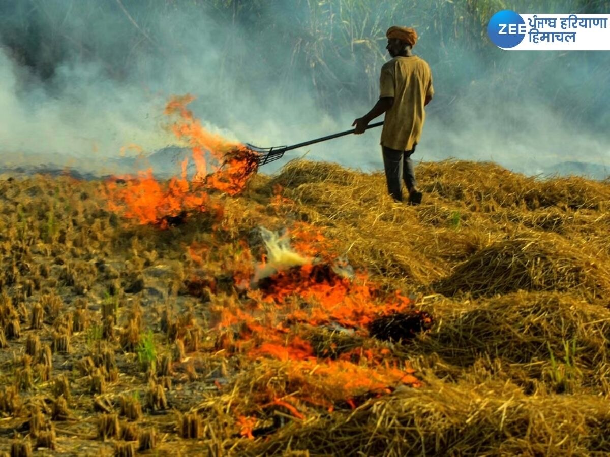 Stubble Burning News: ਪੰਜਾਬ 'ਚ ਇੱਕ ਦਿਨ 'ਚ ਦੁੱਗਣੀ ਤੋਂ ਵੱਧ ਪਰਾਲੀ ਸਾੜੀ ਗਈ, 360 ਮਾਮਲੇ ਆਏ ਸਾਹਮਣੇ