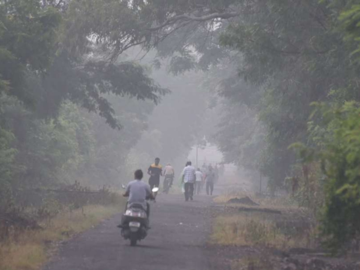 Weather Forecast: गुलाबी ठंड का असर! MP में पचमढ़ी, CG में नारायणपुर सबसे ठंडा; इस दिन से पूरा प्रदेश होगा कोल्ड