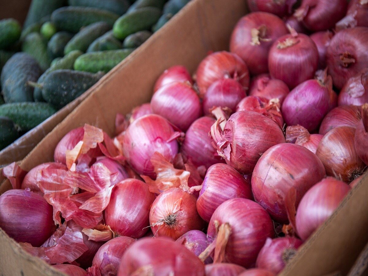 Onion Price: प्याज की कीमतें में लगी आग, दो हफ्तों में 60% तक बढ़े, जानें- दिल्ली समेत अन्य राज्यों के ताजा दाम