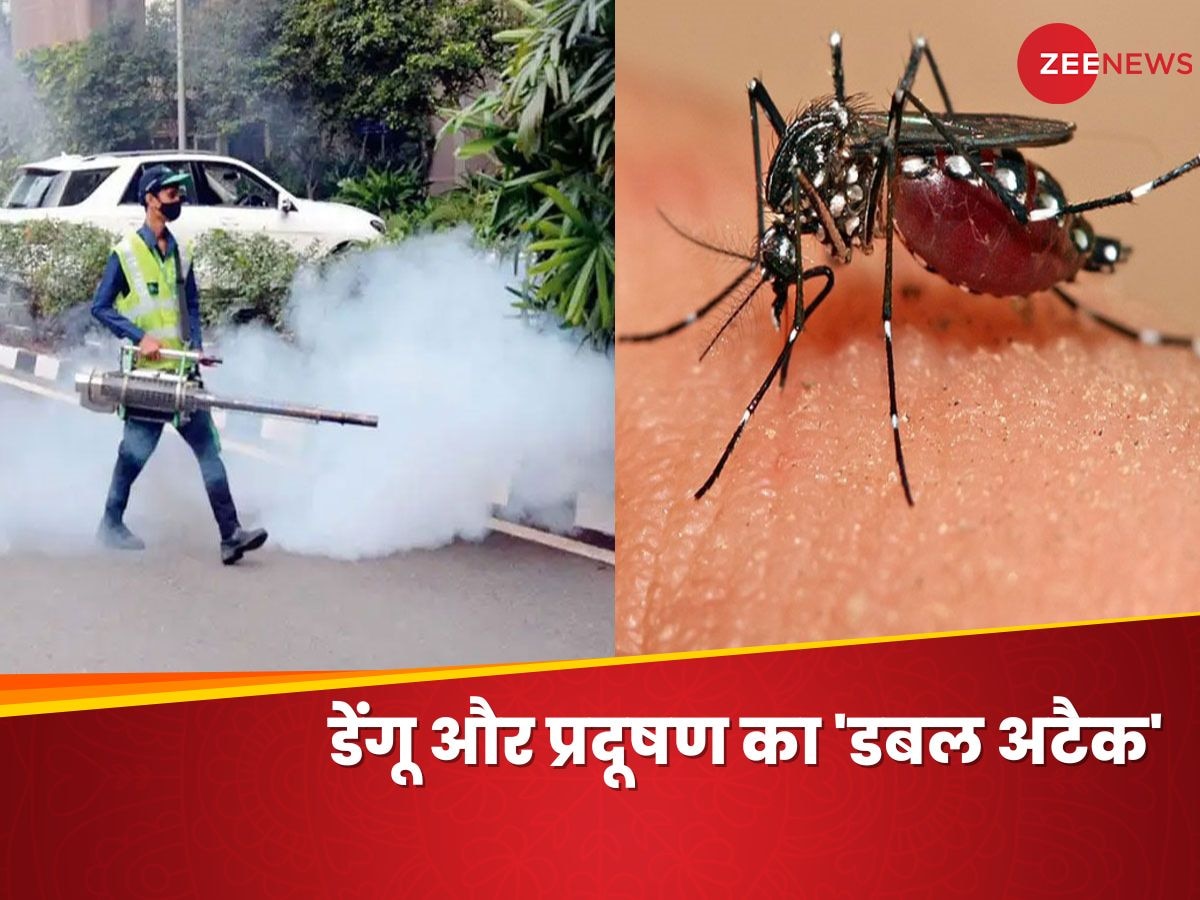 Fogging करने पर Pollution का संकट, नहीं करने पर Dengue का खतरा; Delhi-NCR पर पड़ी दोहरी मार