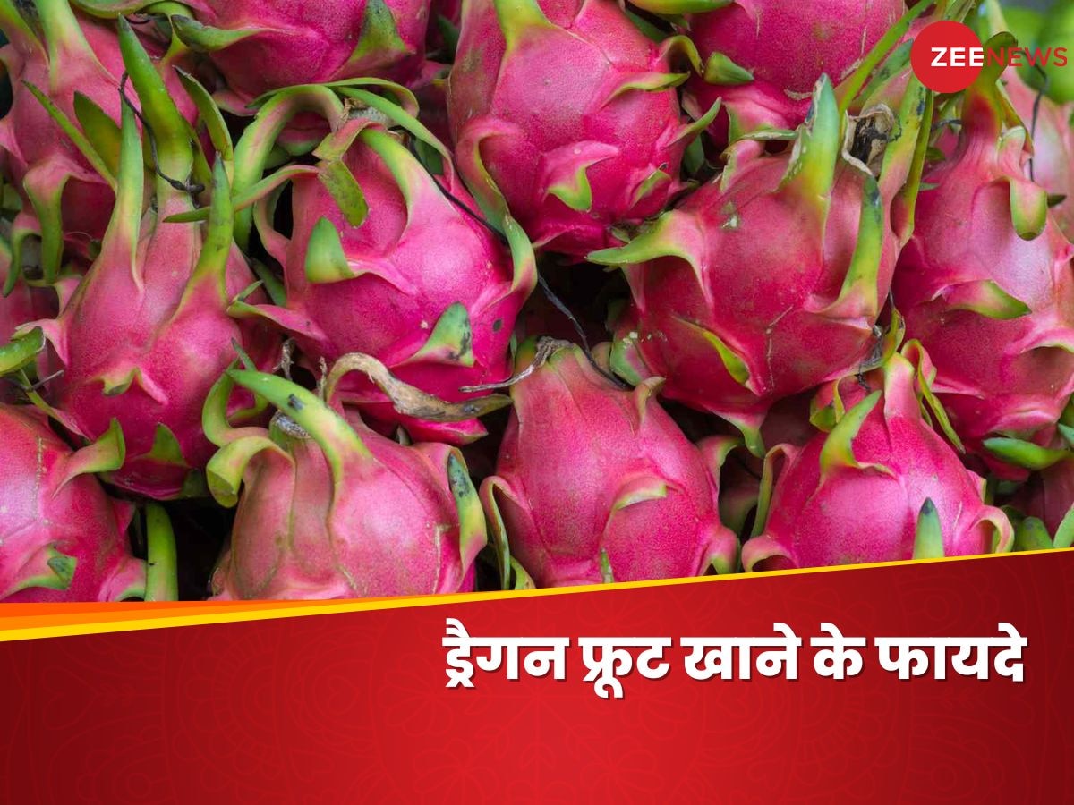 Dragon Fruit: इस महंगे फल के लिए जरूर करें जेब ढीली, सेहत को मिलेंगे ढेरों फायदे