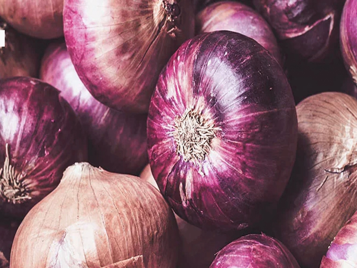 Onion Prices Hike: प्याज की बढ़ती कीमतों ने आम जनता ने निकाले आंसू, त्योहार से पहले पड़ी लोगों पर महंगाई की मार