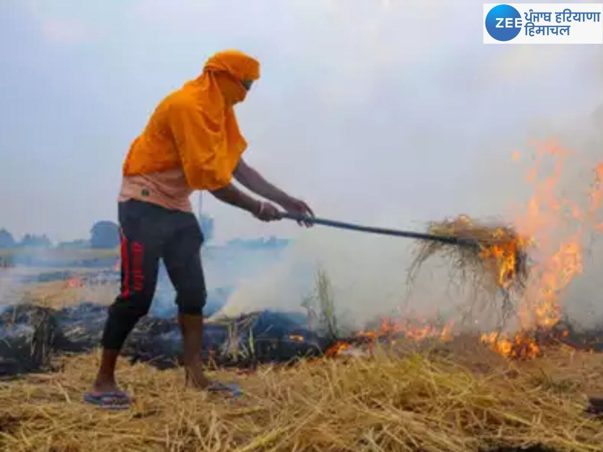 Punjab News: ਪੰਜਾਬ ਸਰਕਾਰ ਦੇ ਯਤਨਾਂ ਨੂੰ ਪਿਆ ਬੂਰ; ਪਰਾਲੀ ਸਾੜਨ ਦੇ 53 ਫ਼ੀਸਦੀ ਮਾਮਲੇ ਘਟੇ, ਹਰਿਆਣਾ ਨੇ ਤਸਵੀਰ ਹੋਰ ਹੋਣ ਦਾ ਕੀਤਾ ਦਾਅਵਾ