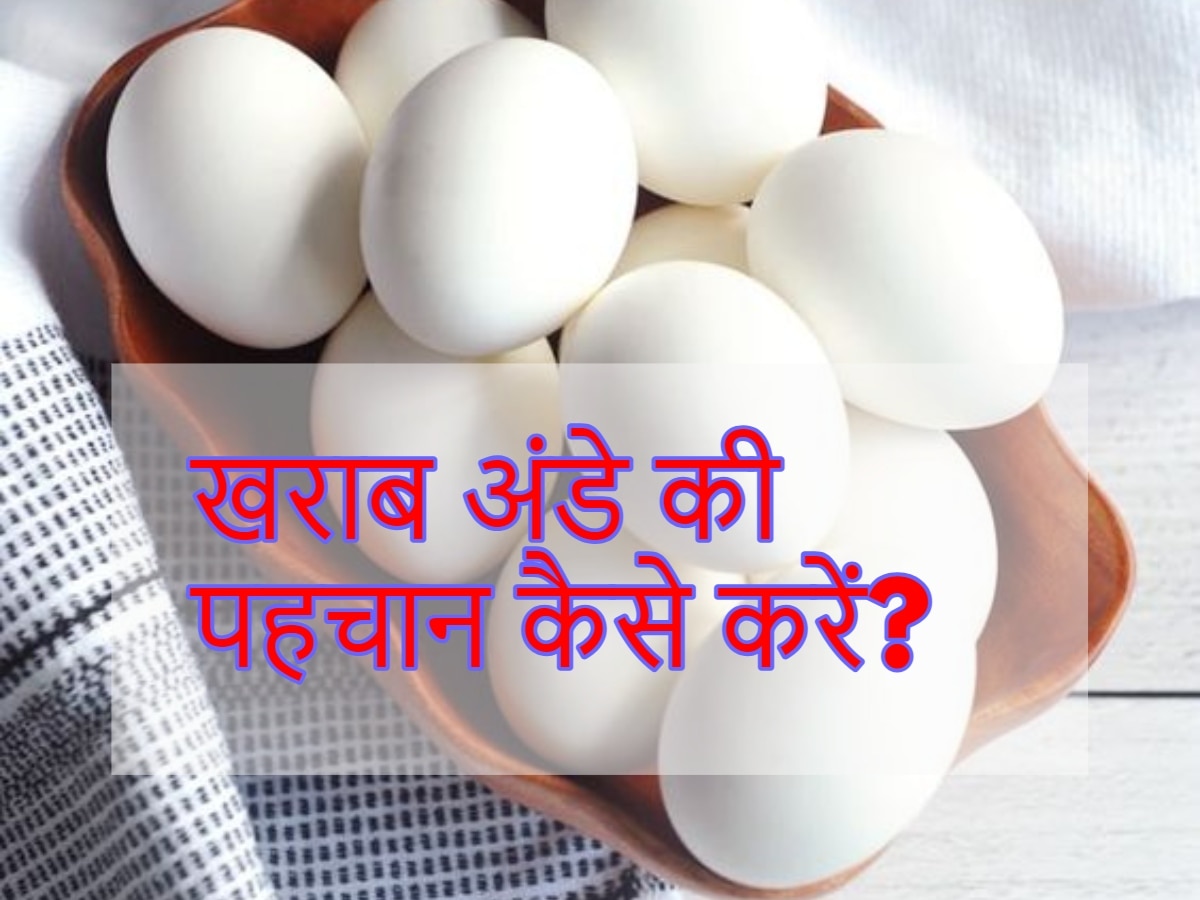 अंडे खाने के हैं बेहद शौकीन, तो क्या इससे जुड़ी इन सवालों के जवाब दे पाएंगे आप? 