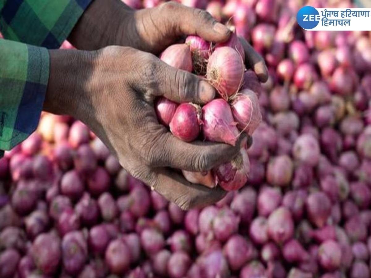 Onion Price: ਟਮਾਟਰ ਤੋਂ ਬਾਅਦ ਹੁਣ ਪਿਆਜ਼ ਦੀਆਂ ਕੀਮਤਾਂ ਅਸਮਾਨ ਨੂੰ ਛੂਹ ਰਹੀਆਂ