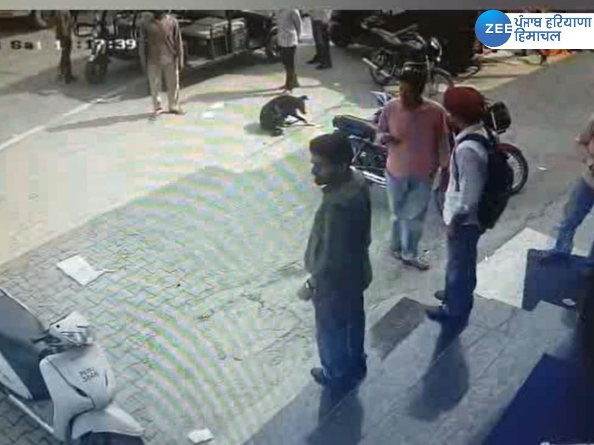 Punjab News: ਕੋਟਕਪੂਰਾ 'ਚ ਗੁੰਡਾਗਰਦੀ ਦਾ ਨੰਗਾ ਨਾਚ! ਮੰਡੀ 'ਚ ਵੜ ਕੇ ਕੀਤੀ ਲੜਾਈ, ਘਟਨਾ CCTV ਕੈਮਰੇ 'ਚ ਕੈਦ