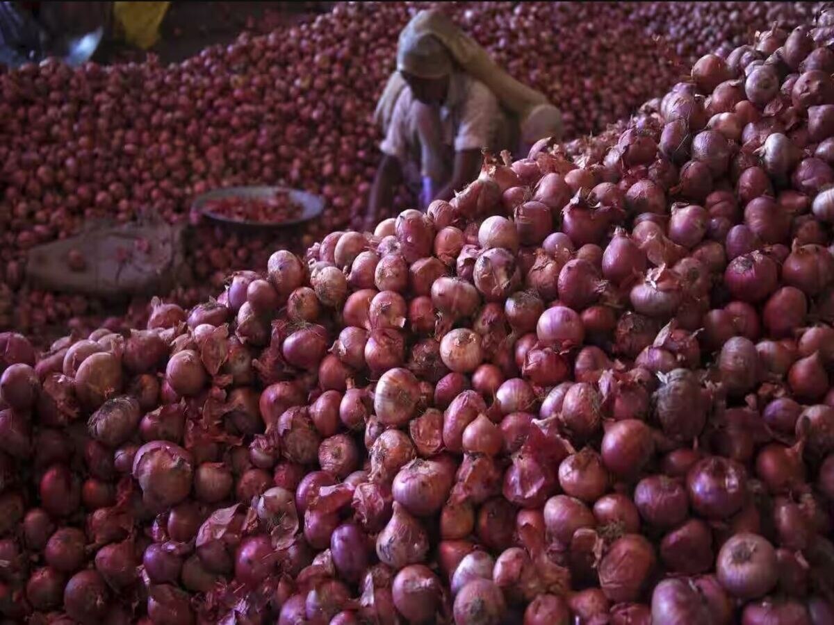 Onion Price: ସରକାର ଦେଲେ ବଡ଼ ଆଶ୍ୱସ୍ତି; ଜାଣନ୍ତୁ କେତେ ଟଙ୍କାରେ ମିଳୁଛି ପିଆଜ