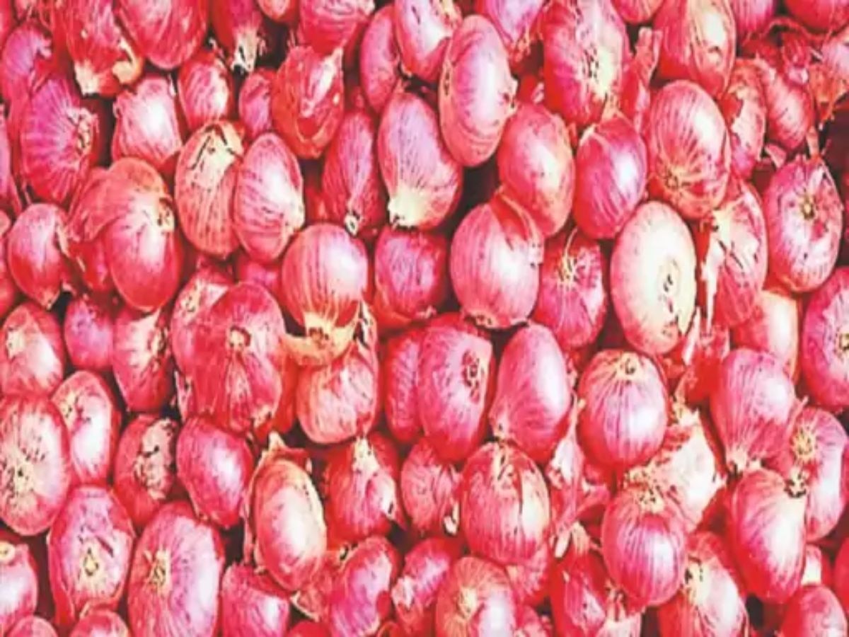 onion price