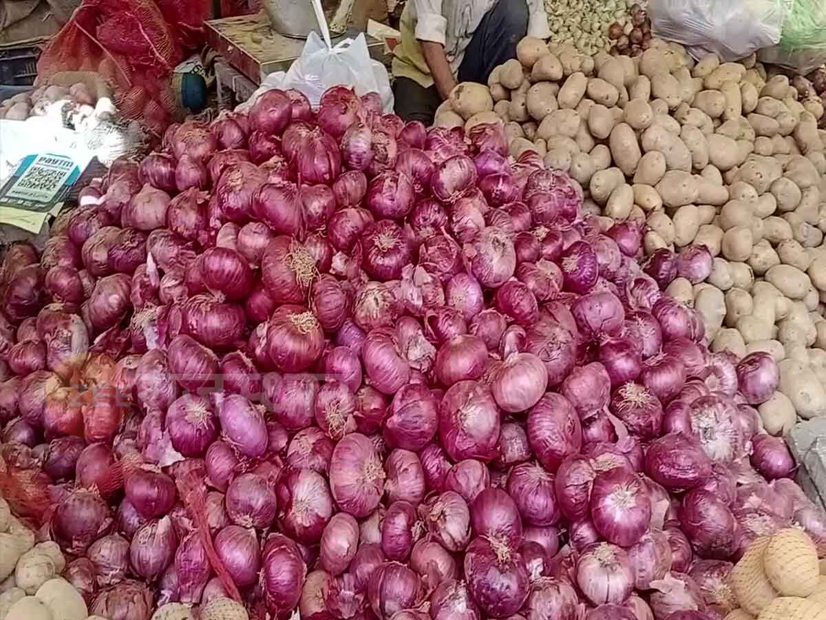 onion price