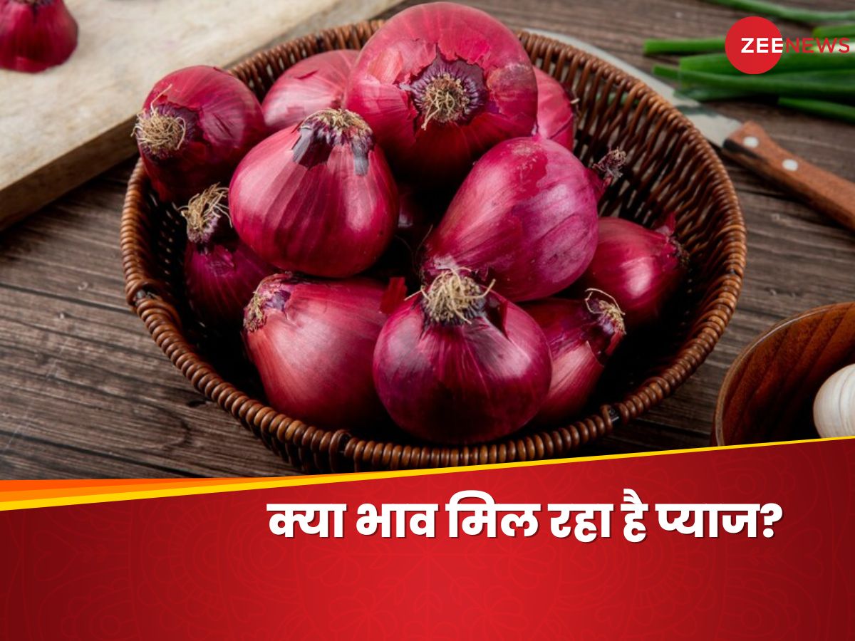 Onion prices changed government released figures in delhi maharashtra