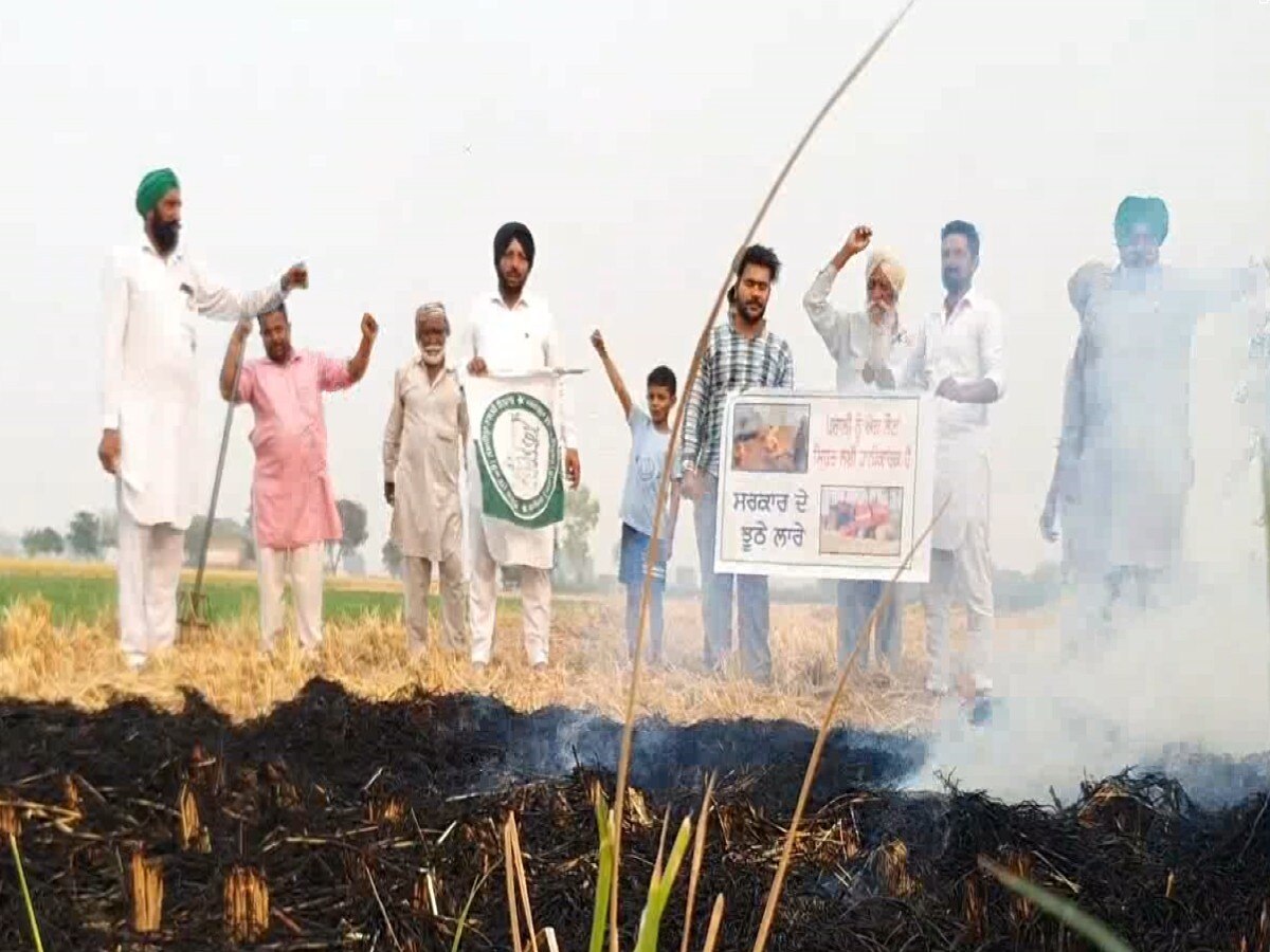 Farmer News: किसानों ने सरकार से की मुआवजे की डिमांड, मांग पूरी ना होने पर दी पराली जलाने की चेतावनी