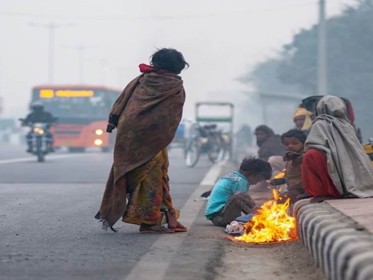 Weather Forecast: मध्य प्रदेश में ठंड का अलर्ट जारी, छत्तीसगढ़ के मैदान हुए शीतल; जानें पूर्वानुमान