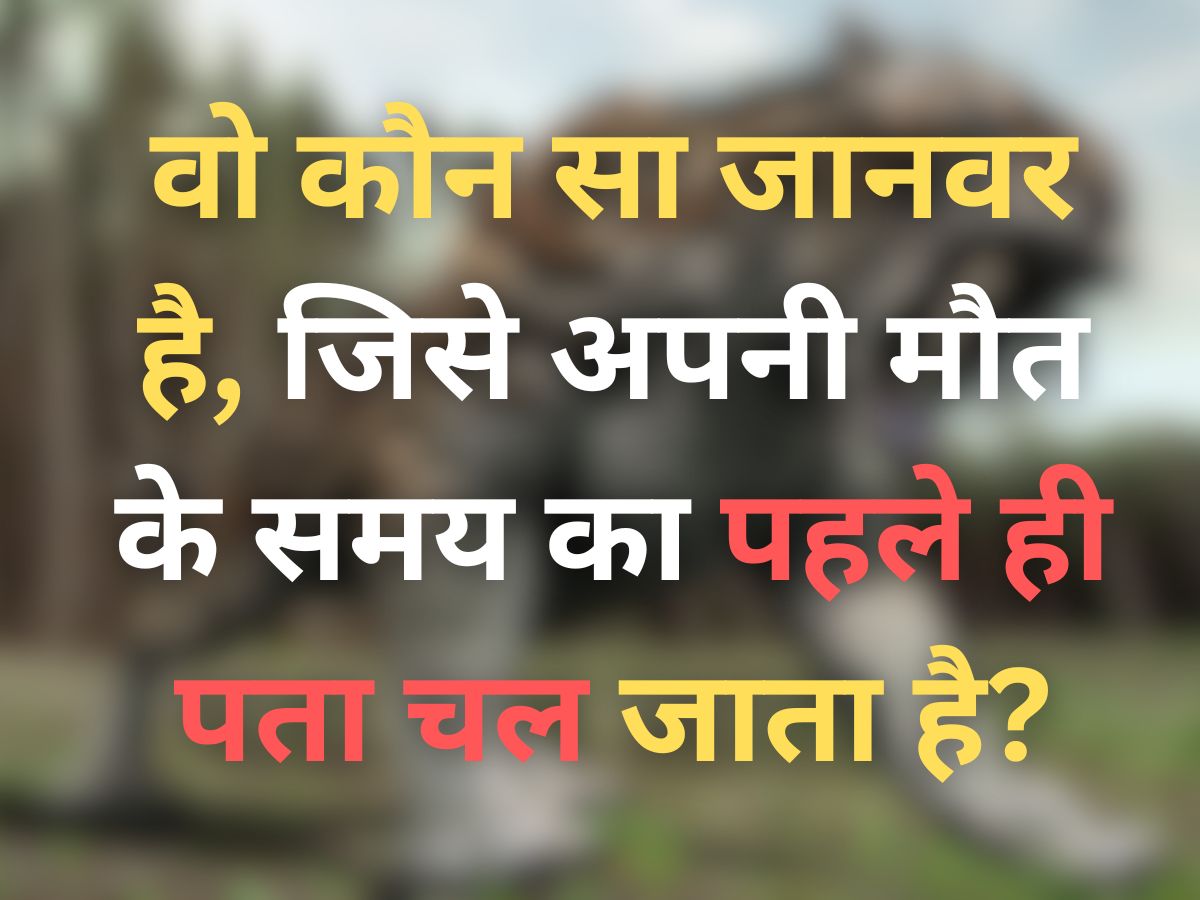 GK Quiz: वो कौन सा जानवर है, जिसे अपनी मौत के समय का पहले ही पता चल जाता है?