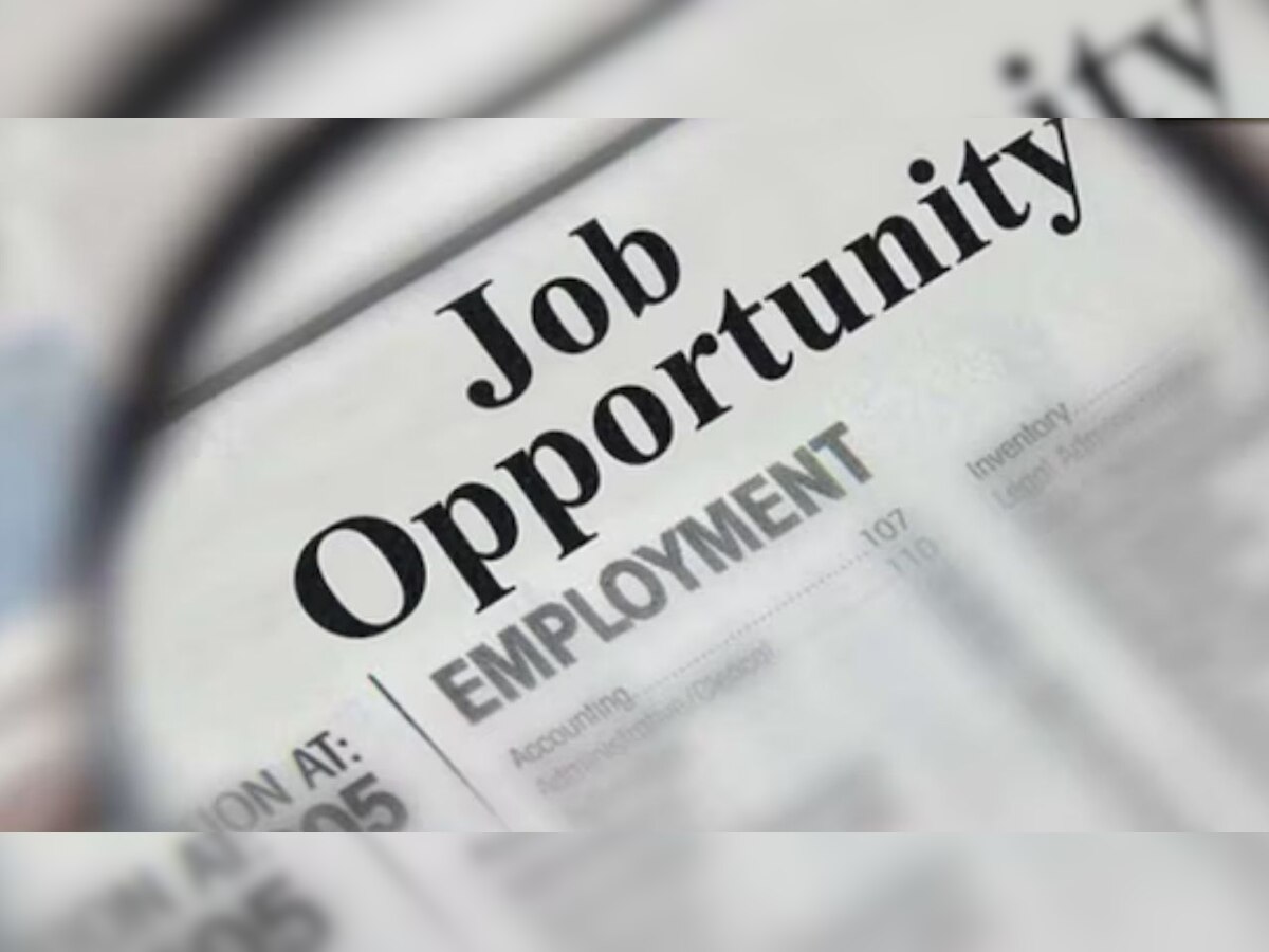 Job Oppertunities: OPGCରେ ମିଳିବ ଚାକିରି, ହାର୍ଡ କପି ଦାଖଲ କରିବାର ଆଜି ଶେଷ ଦିନ..
