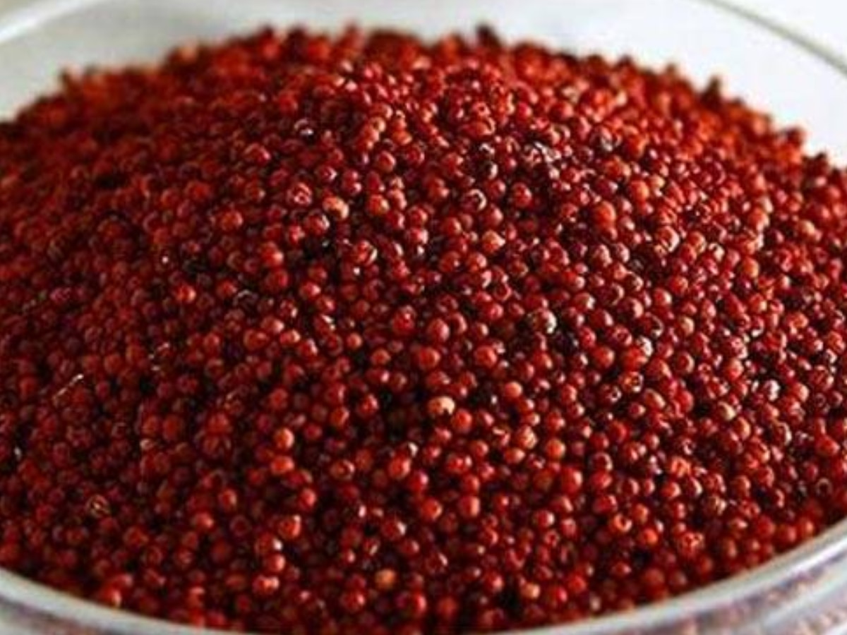 benefits of ragi finger millets ke fayde health tips in hindi | दूध से ...