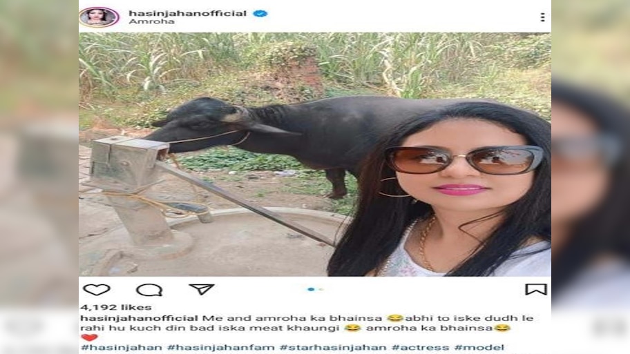 अमरोहा का भैंसा, अभी दूध ले रही हूँ बाद में खाऊँगी"; क्रिकेटर शमी की बेगम का पोस्ट     