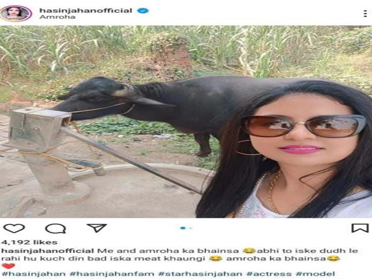 अमरोहा का भैंसा, अभी दूध ले रही हूँ बाद में खाऊँगी"; क्रिकेटर शमी की बेगम का पोस्ट अमरोहा का भैंसा, अभी दूध ले रही हूँ बाद में खाऊँगी"; क्रिकेटर शमी की बेगम का पोस्ट