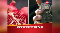 रेस्टोरेंट में ऑर्डर किया अनार, स्टाफ ने बुला ली पुलिस; इस एक गलती से फैल गई दशहत