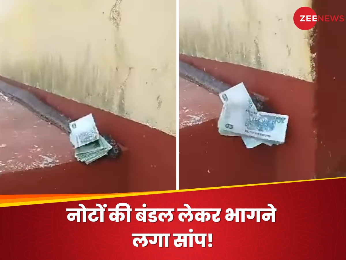 Video: घर में घुसा भयानक अजगर, फिर नोट लेकर यूं हुआ रफूचक्कर; मालिक ने किया कुछ ऐसा