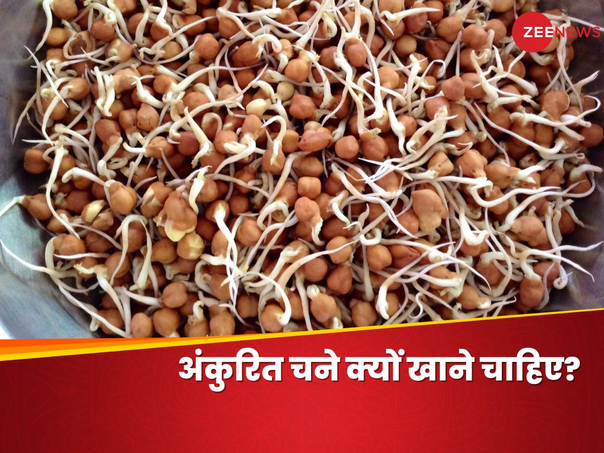 What Are The Health Benefits Of Sprouted Gram Ankurit Chane Ke Fayde