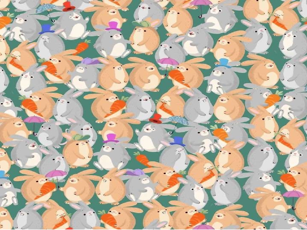 Frog Rabbit Illusion optical illusion iq test find out hidden Mouse among rabbits in 7 ...