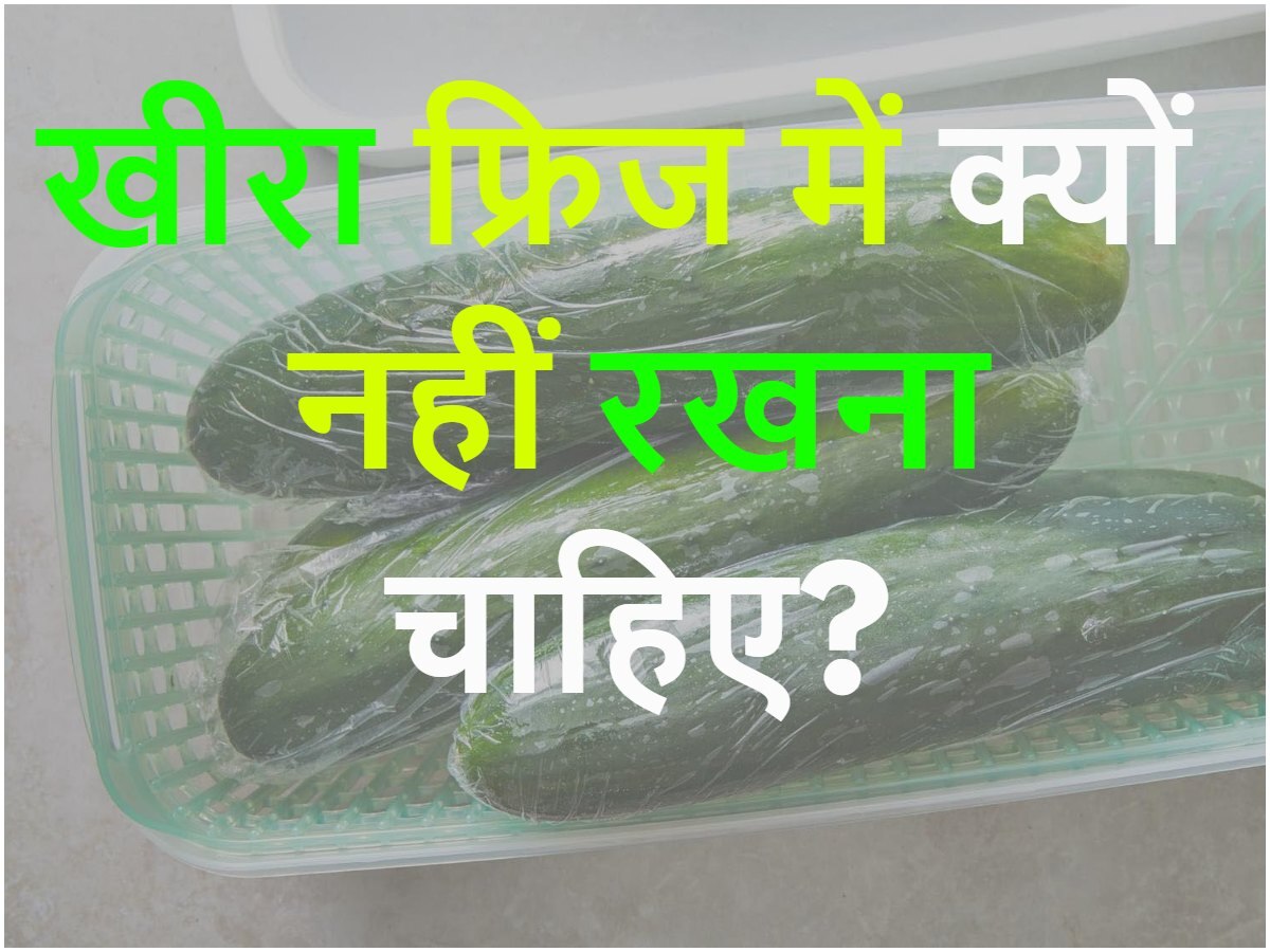 Quiz: खीरा फ्रिज में क्यों नहीं रखना चाहिए?