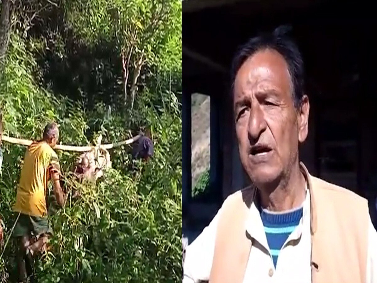 Himachal Pradesh News: शमाह के आसपास मंडरा रहा जंगली तेंदुओं का खतरा, पालतू जानवरों को बना रहे अपना शिकार