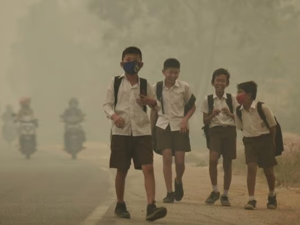 Air Pollution Se Bachne Ke Gharelu Upay Home Remedies Lungs Ke Liye ...