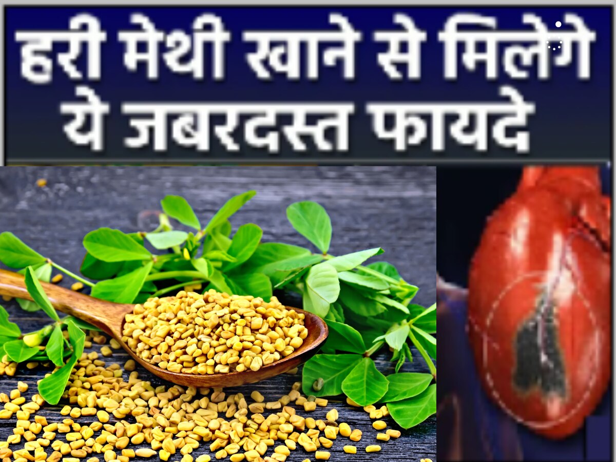 Benefits Of Methi Leaves Winter Season Eat Green Fenugreek Your Body Will Get These 11