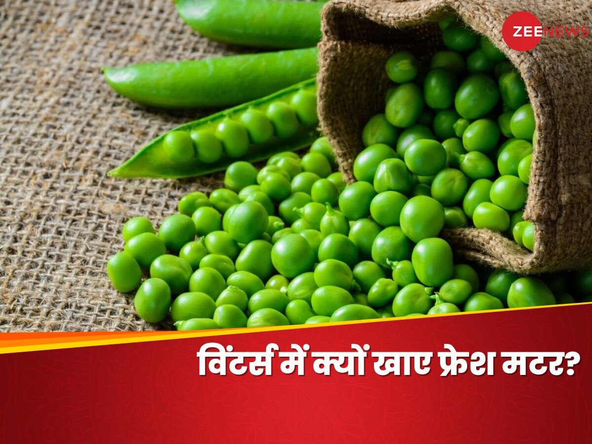 Green Peas: सर्दियों में क्यों खानी चाहिए ताजी हरी मटर? प्रोटीन समेत मिलेंगे ये बेमिसाल फायदे