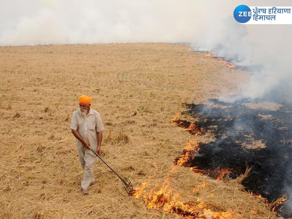 Stubble Burning News: ਅੰਮ੍ਰਿਤਸਰ ਵਿੱਚ 'ਚ ਵਧਿਆ ਪ੍ਰਦੂਸ਼ਣ, DC ਨੇ ਕਿਸਾਨਾਂ ਨੂੰ ਪਰਾਲੀ ਨਾ ਸਾੜਨ ਦੀ ਕੀਤੀ ਅਪੀਲ 