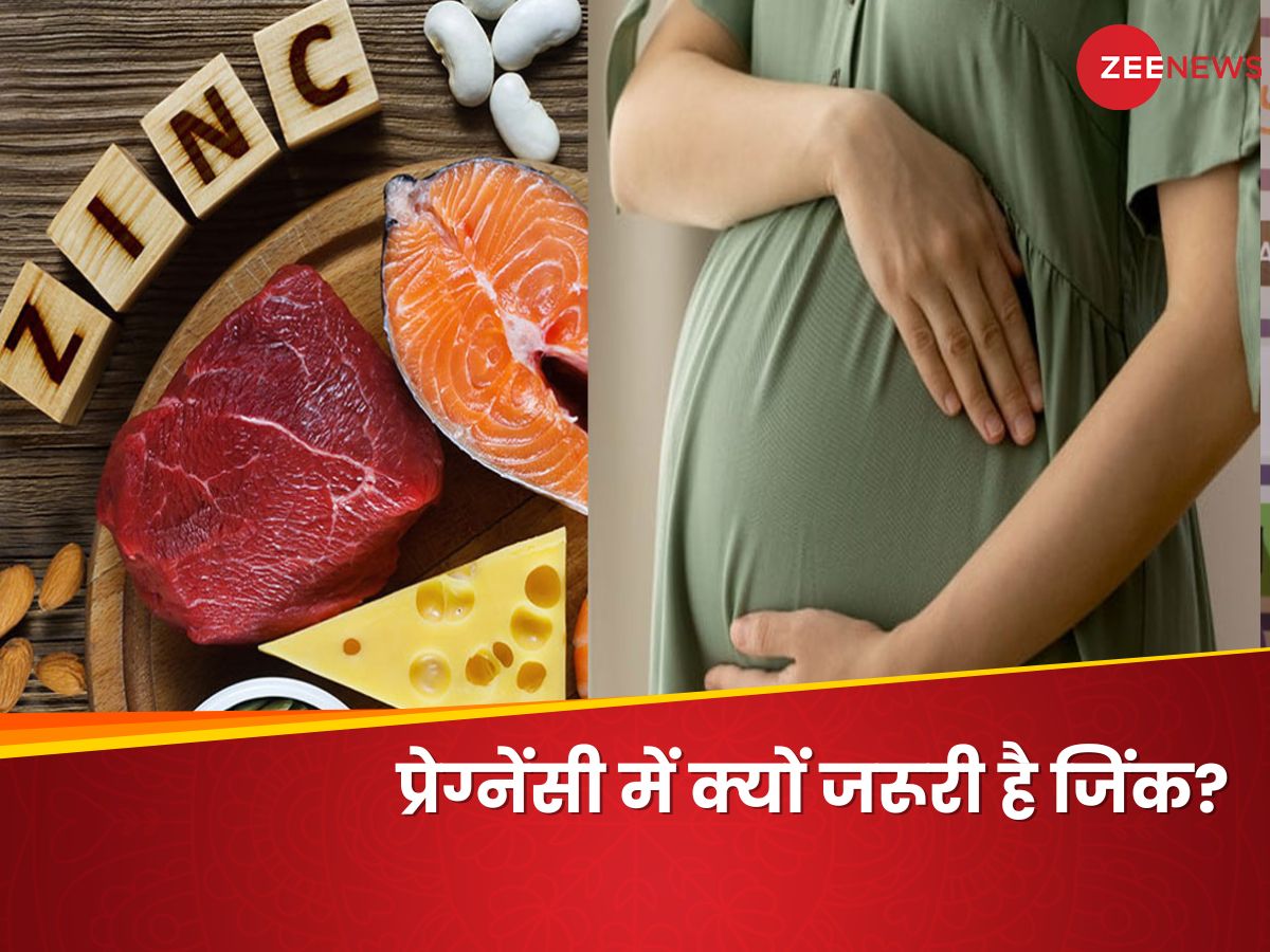 Why Zinc Rich Foods Are So Important in Pregnancy For Mother and Unborn