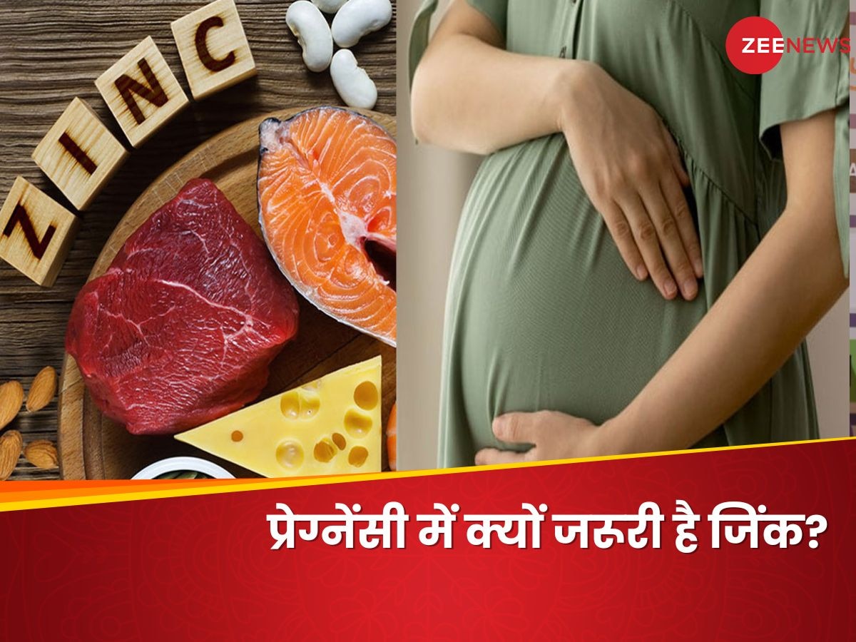 Pregnancy के दौरान Zinc Rich Foods क्यों खाना चाहिए? जानिए असल वजह