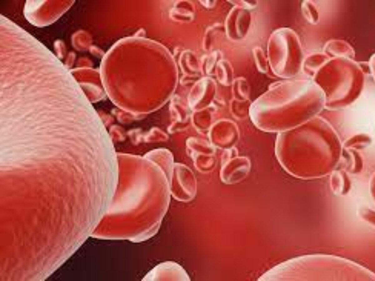 Dry Dates Benefits heath tips in hindi weigh loss immunity builder increase blood level churana