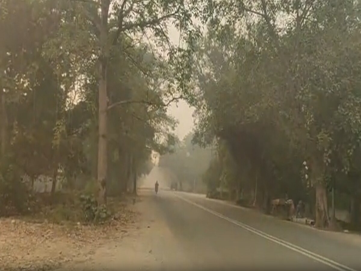 Delhi News: दिल्ली के ग्रामीण हिस्सों में भी फैला प्रदूषण का कहर, चारों तरफ 'कोहरा ही कोहरा'